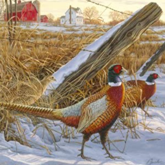 Vintage Hand-painted Ring-Necked Pheasants Bird Figurines Made in JAPAN - Picture 16 of 16